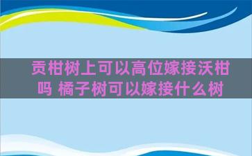 贡柑树上可以高位嫁接沃柑吗 橘子树可以嫁接什么树